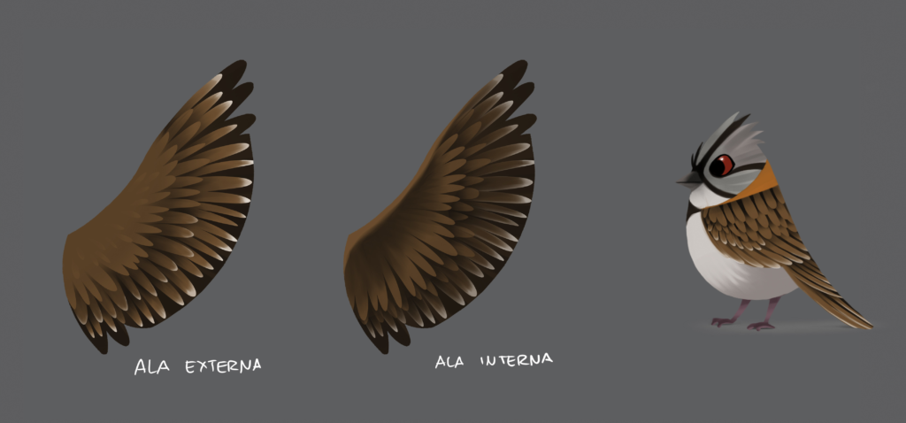 TNK_CH_LOOKFINAL_COPETÓN