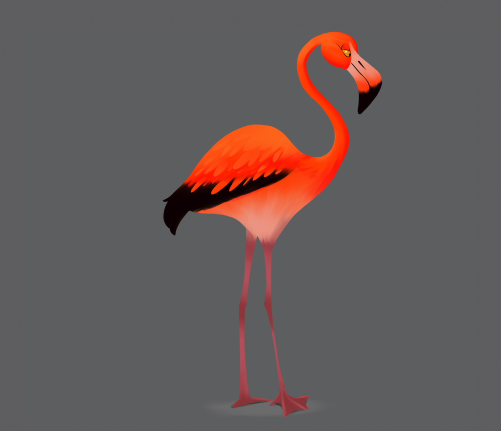 TNK_CH_LOOKFINAL_FLAMENCO