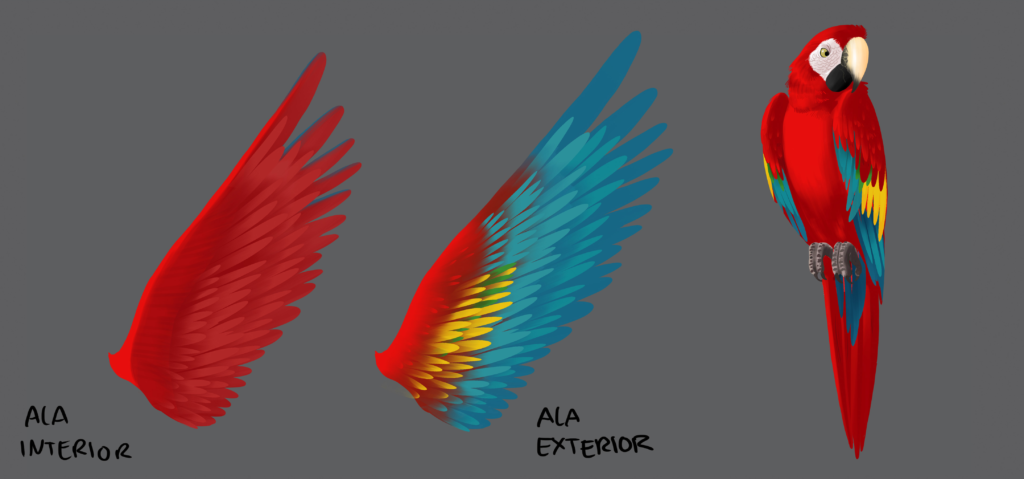 TNK_CH_LOOKFINAL_GUACAMAYA