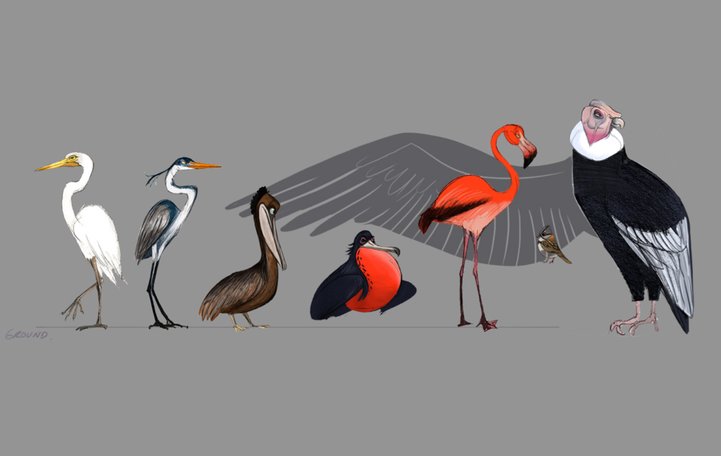 avc_sizechart_wingspan